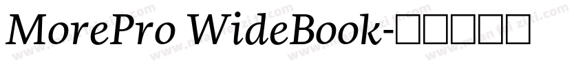 MorePro WideBook字体转换